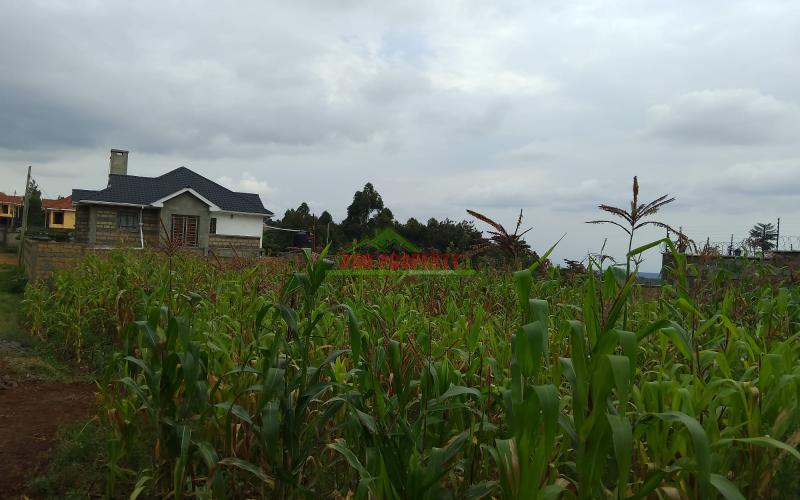 Prime Residential 50 By 100 Plot For Sale Opposite Jambu Tv