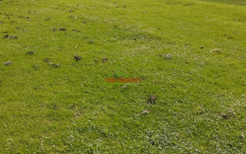 Prime 100by100 Residential Plots In Ng'ong( Tulivu Estate)