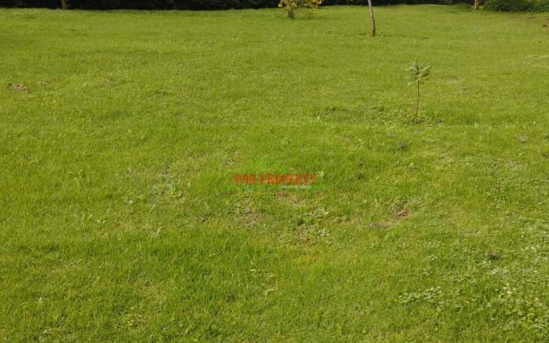 Prime 100by100 Residential Plots In Ng'ong( Tulivu Estate)