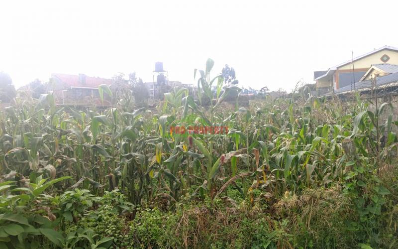 Prime Residential Plot For Sale In Kiiambu, Nderi