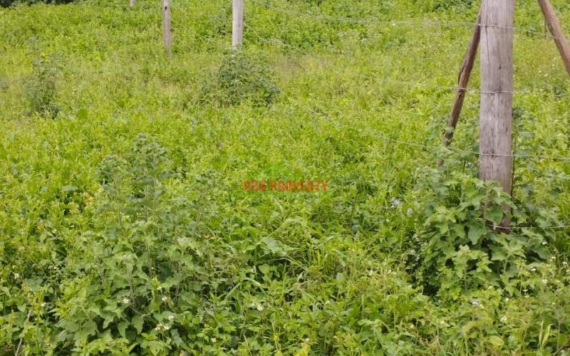 A Prime 50by100ft Plot For Sale In Kikuyu -kamangu