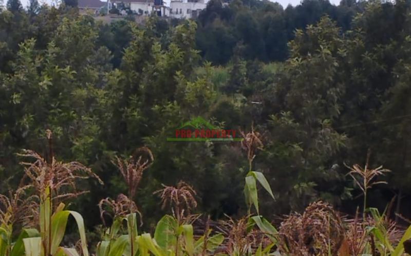 A Prime 50by100ft Plot For Sale In Kikuyu -kamangu