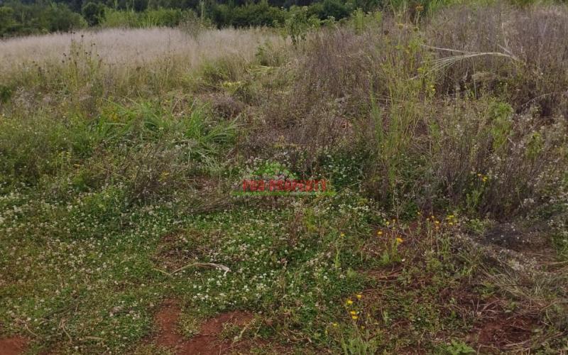 A Prime 50by100ft Plot For Sale In Kikuyu -kamangu