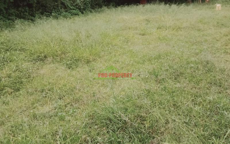 Prime 50 By 100 Commercial Plot For Sale In Ruaka, Ndenderu