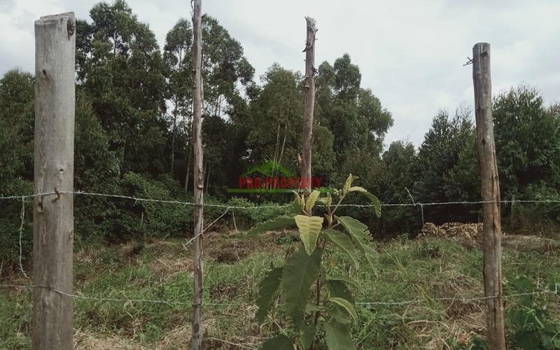 Prime 50 By 100 Residential Plot For Sale In Kikuyu, Kamangu