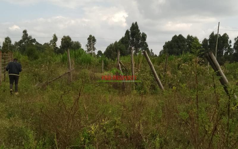 Prime Residential 50 By 100 Plot For Sale