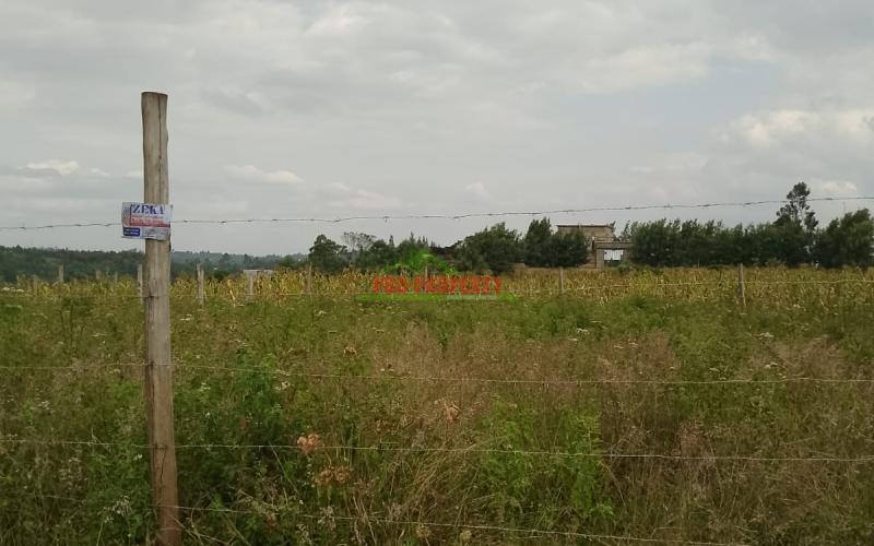 Prime Residential 50 By 100 Plot For Sale