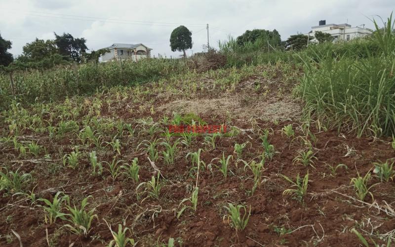 Prime 60 By 100 Residential Plot For Sale In Kikuyu, Kamangu