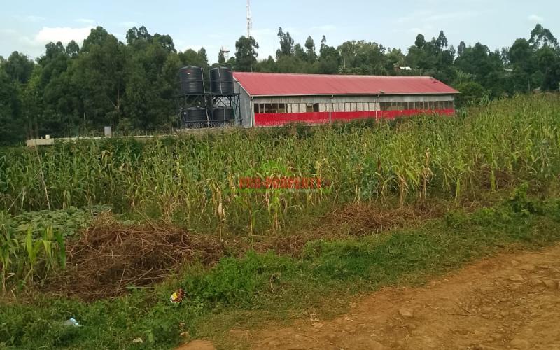 Prime 50 by 100 Residential plot for sale in Kikuyu Gikambura