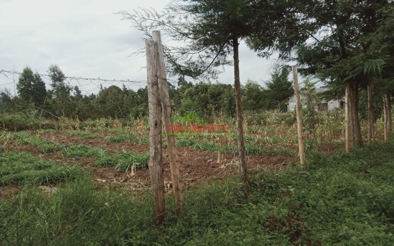 Prime 100 By 100 Residential Plot For Sale In Kikuyu Kamangu