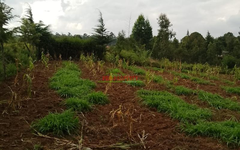 Prime Residential 100 By 100 Plot For Sale