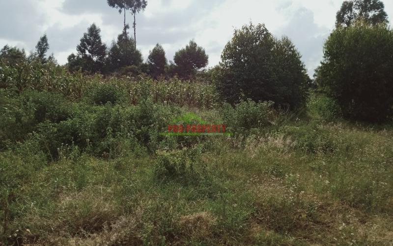 Prime 50 By 100 Residential Plot For Sale In Kikuyu, Lusingetti