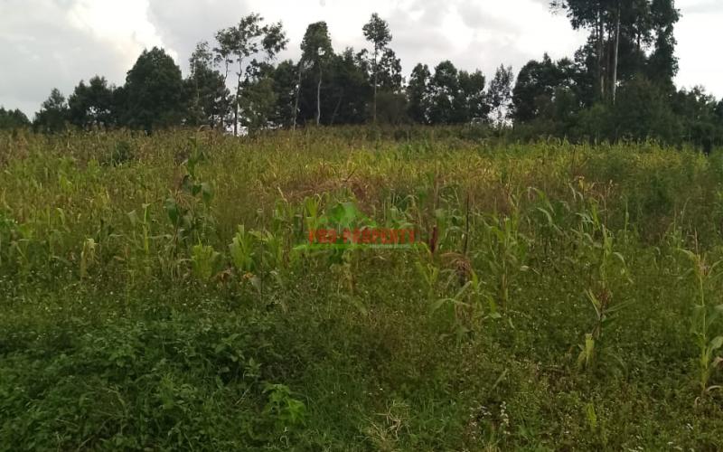 Prime residential 200 by 200 plot for sale