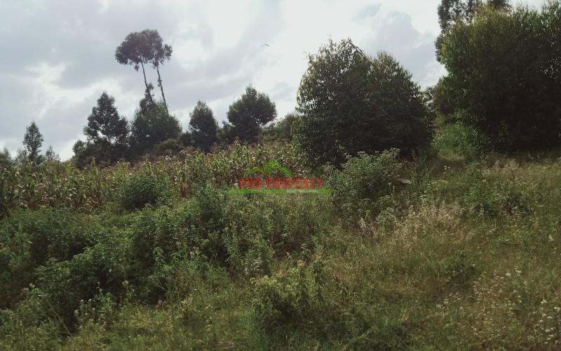 Prime 50 By 100 Residential Plot For Sale In Kikuyu, Lusingetti