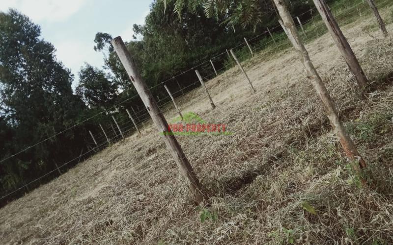 Prime 50 By 100 Residential Plot For Sale In Kikuyu Gikambura