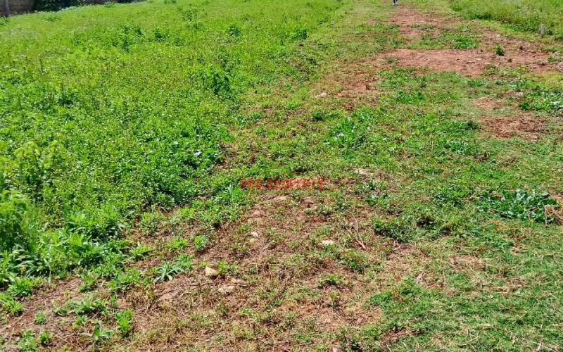 Prime Residential 50 By 100 Plots For Sale Along Ondiri Road On A Gated Community