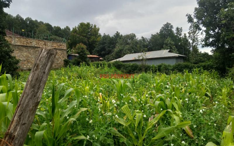 Prime Residential  50 By 100 Plots For Sale In Gikambura