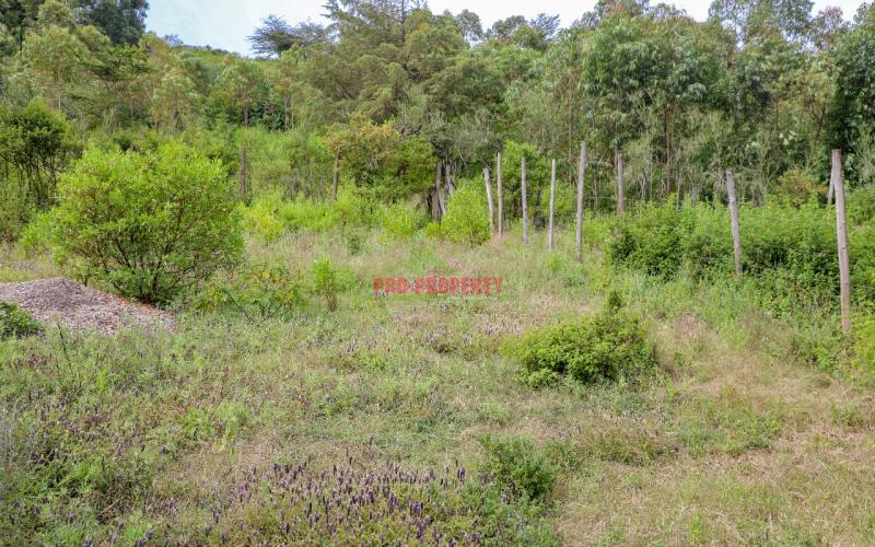 Affordable Residential Plots For Sale In Kikuyu Rose Gate (nachu)