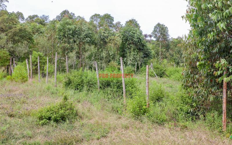 Affordable Residential Plots For Sale In Kikuyu Rose Gate (nachu)