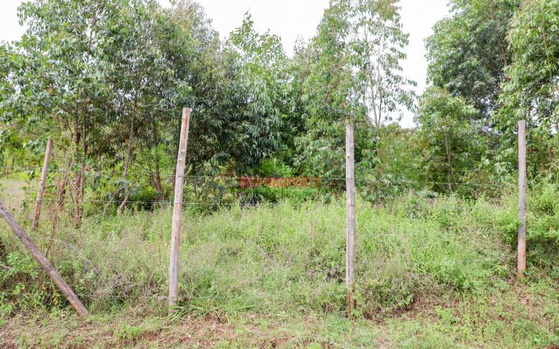 Affordable Residential Plots For Sale In Kikuyu Rose Gate (nachu)