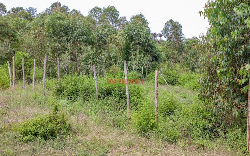 Affordable Residential Plots For Sale In Kikuyu Rose Gate (nachu)