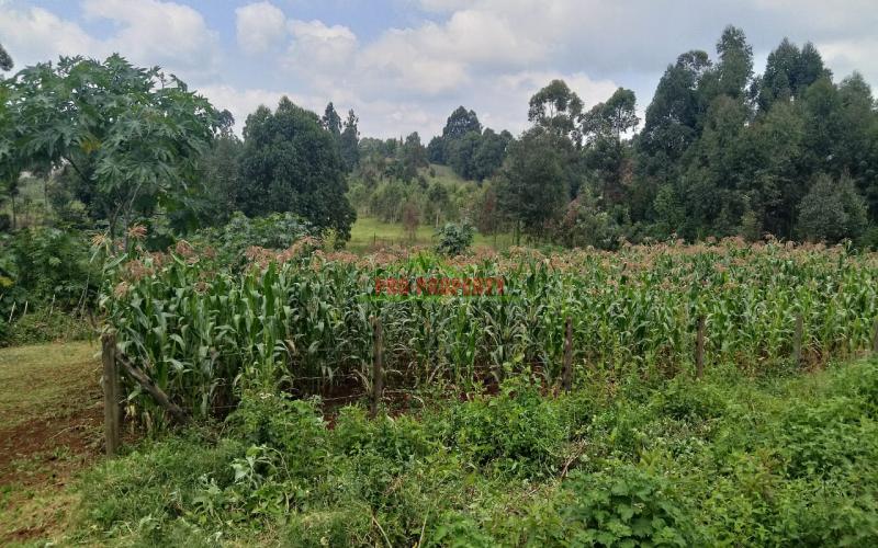 Prime Residential 50 By 100 Plots For Sale Along Ondiri Road