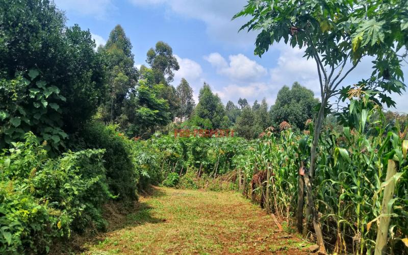 Prime Residential 50 By 100 Plots For Sale Along Ondiri Road