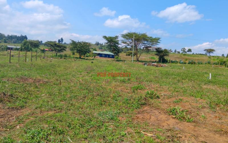 Prime Residential  50 By 100 Plot For Sale In Nachu