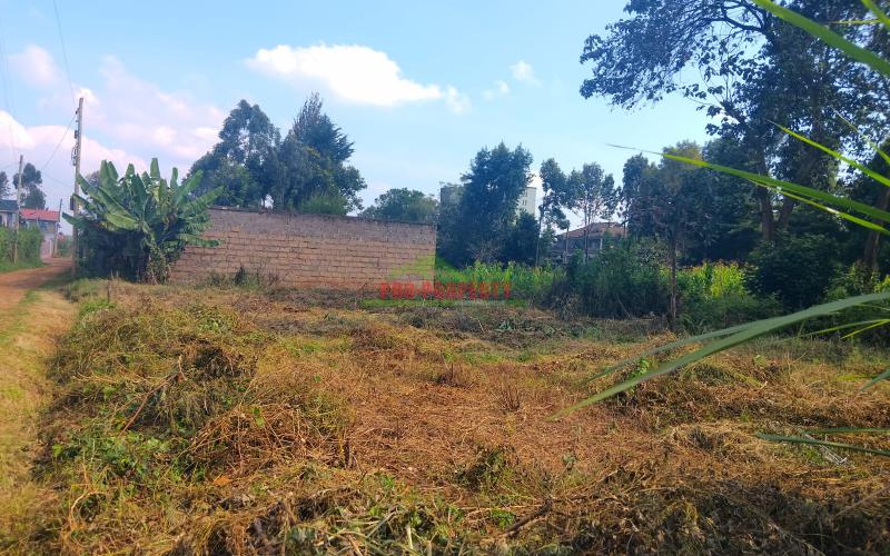 Prime Residential/commercial 50 By 100 Plot For Sale In Thogoto