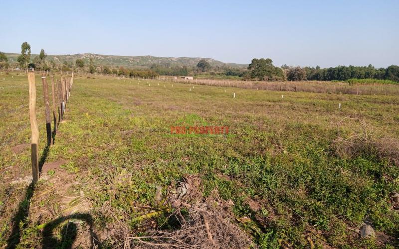 Prime 50*100 Plots For Sale In Kikuyu -rosegate Nachu.