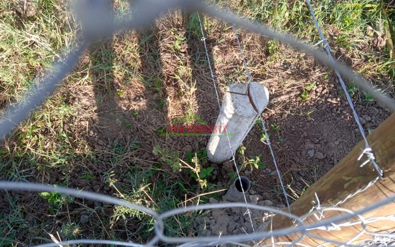 Prime 50*100 Plots For Sale In Kikuyu -rosegate Nachu.