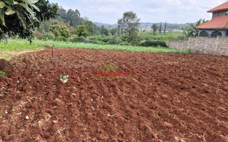 Prime Residential 100 By 100 Plot For Sale In Ondiri, Kikuyu
