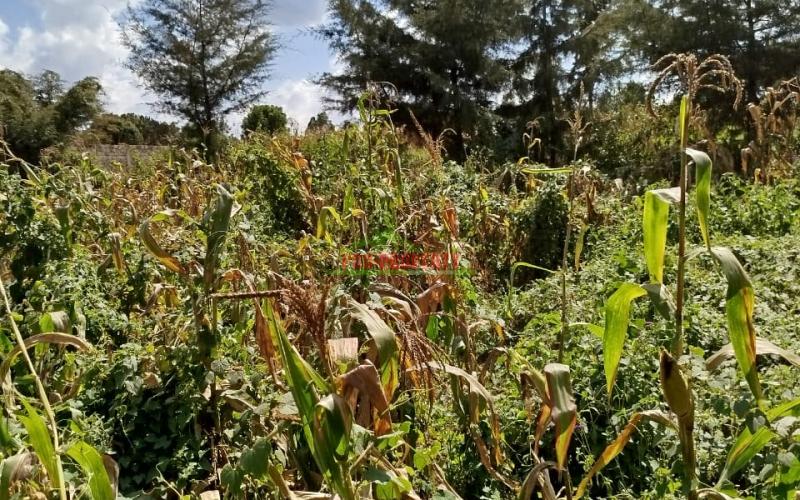 Prime 50by100ft residential  plot for sale in Kikuyu- Gikambura