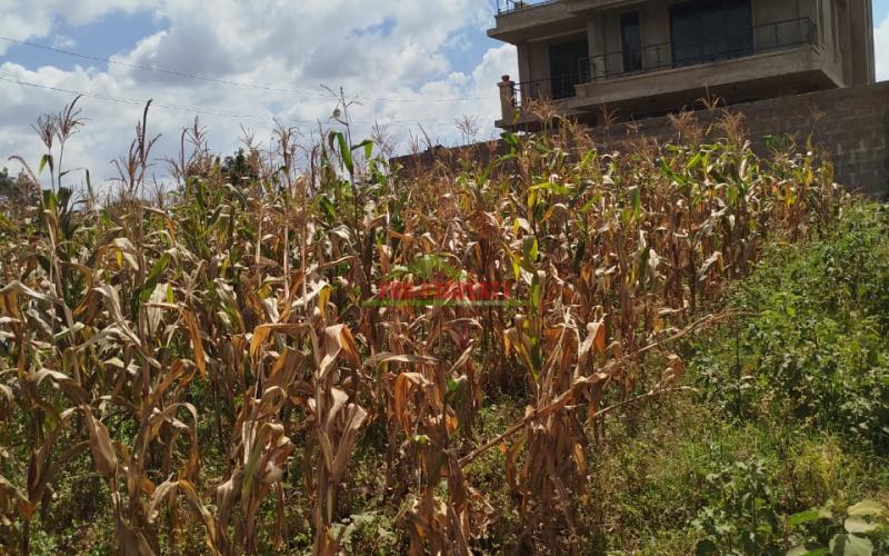 Prime 40by80ft Plot For Sale In Kikuyu ,gikambura