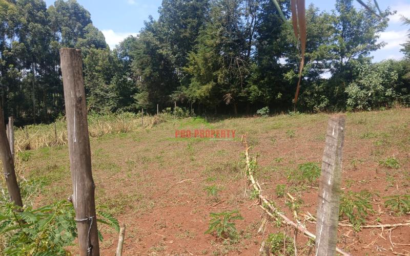Prime Residential  50 by 100 plots for sale in kikuyu