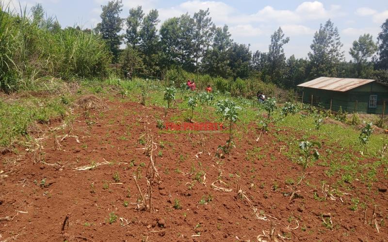 Prime Residential 50 by 100 plots for sale in Migumoini, Kikuyu