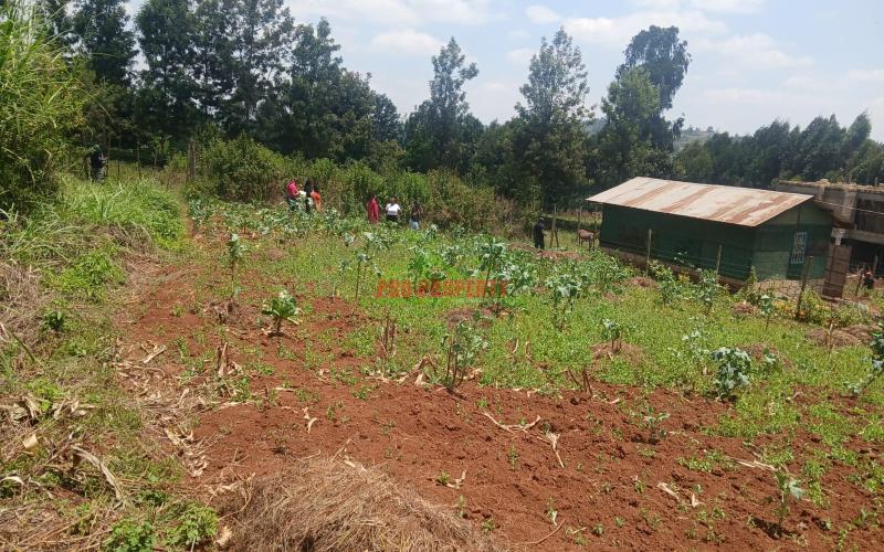 Prime Residential 50 By 100 Plots For Sale In Migumoini, Kikuyu
