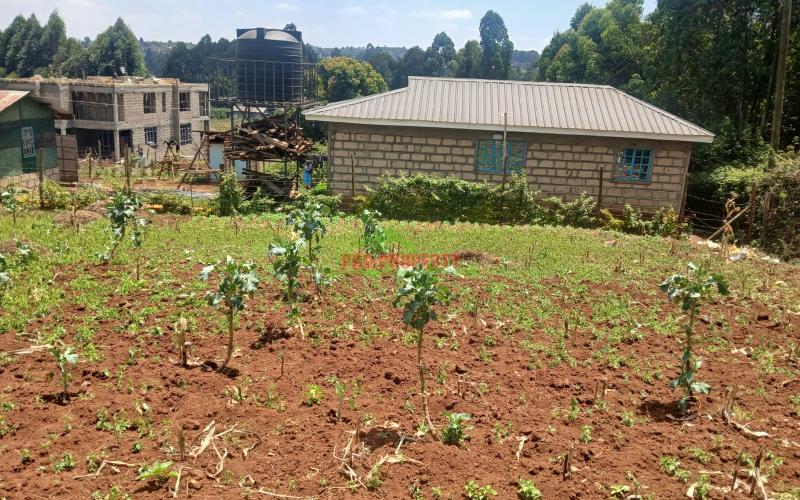 Prime Residential 50 By 100 Plots For Sale In Migumoini, Kikuyu