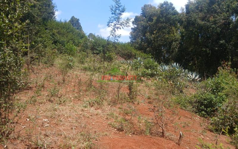 Prime Residential 50 By 100 Plot For Sale Along Southern Bypass, Maa-aai-hii