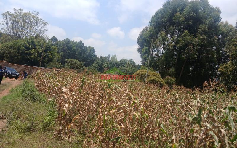 Prime Residential 40 By 80 Plots For Sale In Gikambura