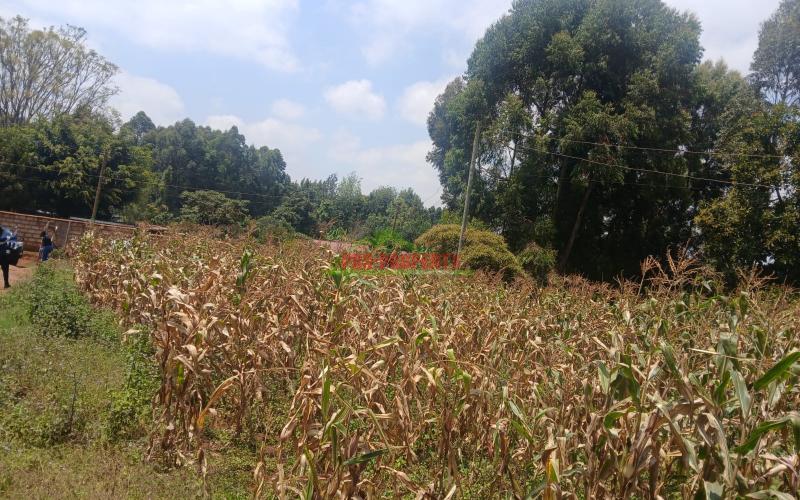 Prime Residential 40 By 80 Plots For Sale In Gikambura