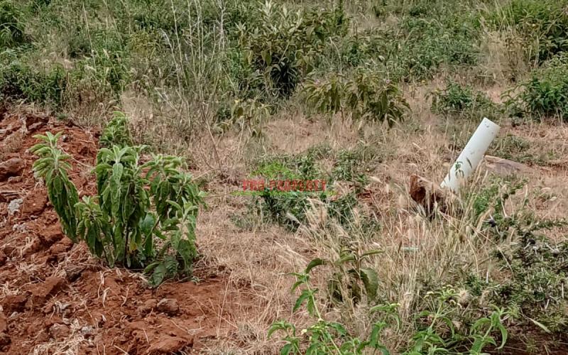 Affordable Plots For Sale In Kikuyu, Kamangu.