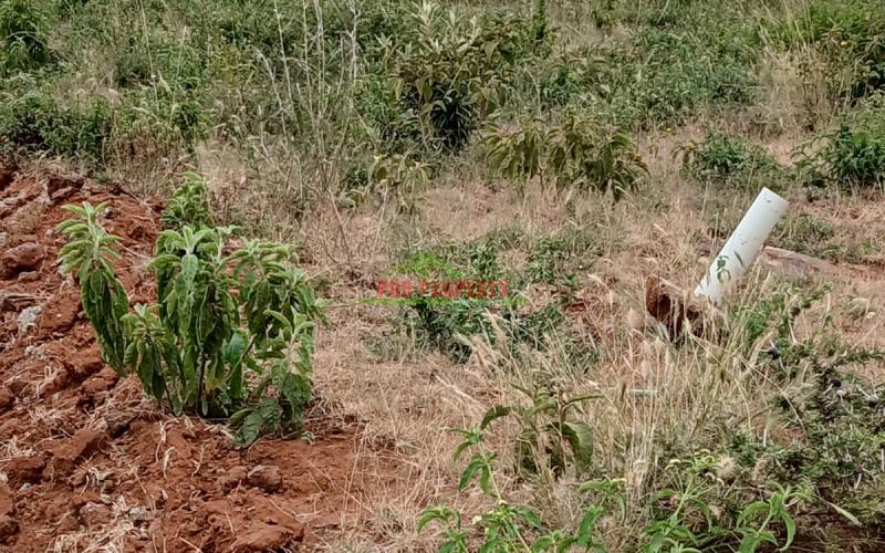 Affordable Plots For Sale In Kikuyu, Kamangu.