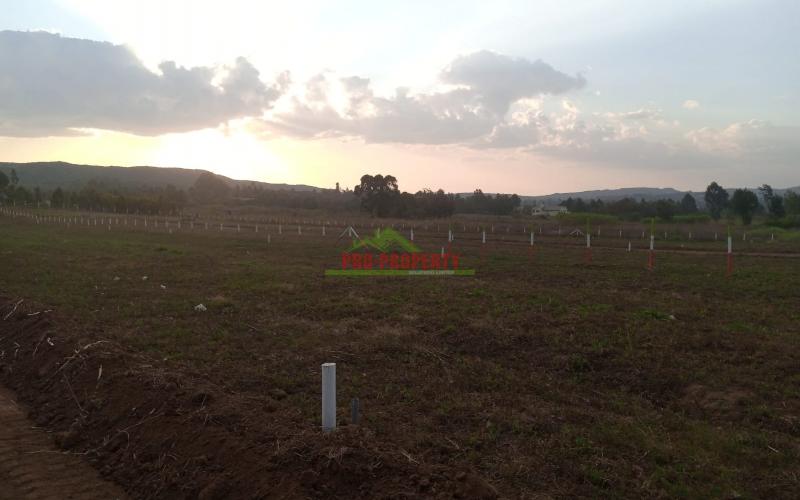 Prime 50*100 Plots For Sale In Kikuyu -rosegate Nachu.