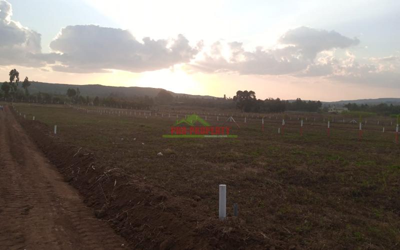 Prime 50*100 Plots For Sale In Kikuyu -rosegate Nachu.