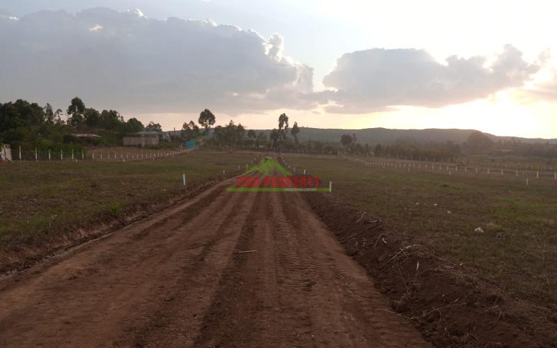 Prime 50*100 Plots For Sale In Kikuyu -rosegate Nachu.