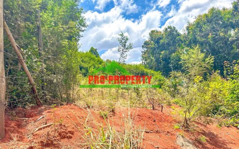 Prime 50*100 Residential Plot For Sale In Kikuyu, Mai-a-ihii