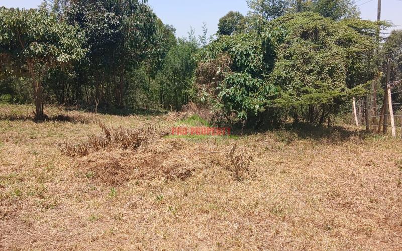 Prime 50*100 Residential Plot For Sale In Kikuyu-kamangu.