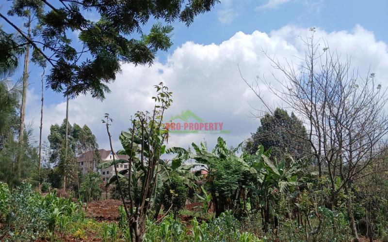 Prime 70by100ft Plot For Sale In Kikuyu, Gitaru