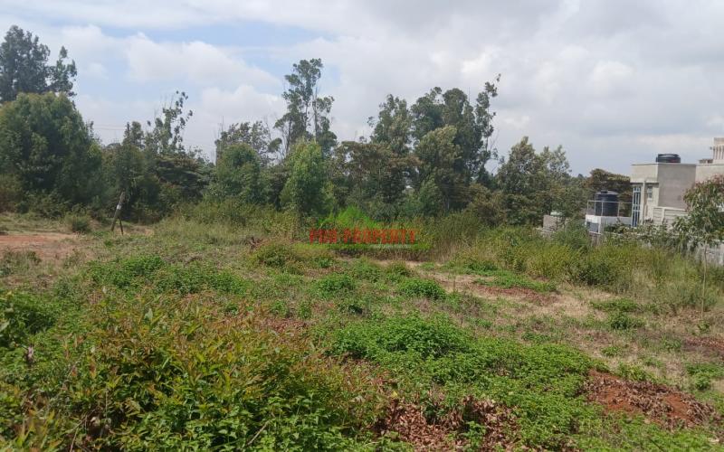 Prime Residential  50 By 100 Plot For Sale In Lusingetti